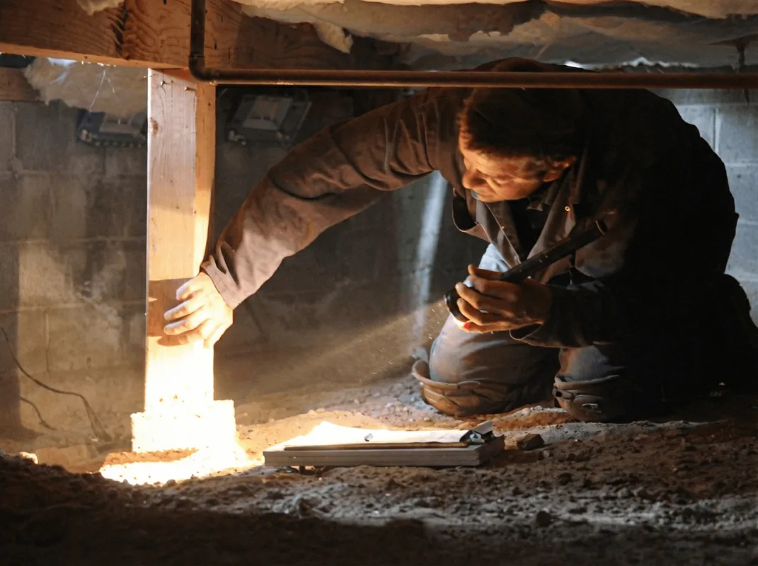 A professional inspecting wooden beams under the floor of a structure in Manchester, NH